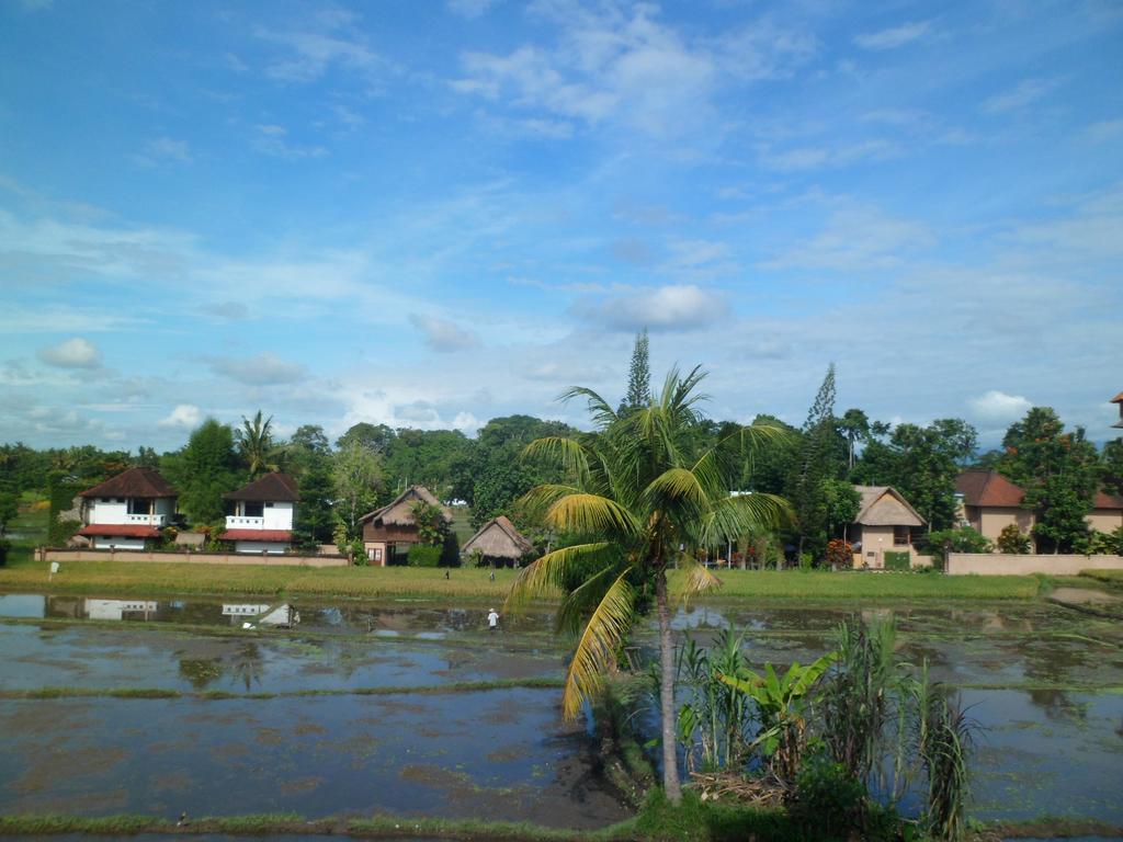 Nuriani Rooms Ubud Eksteriør bilde