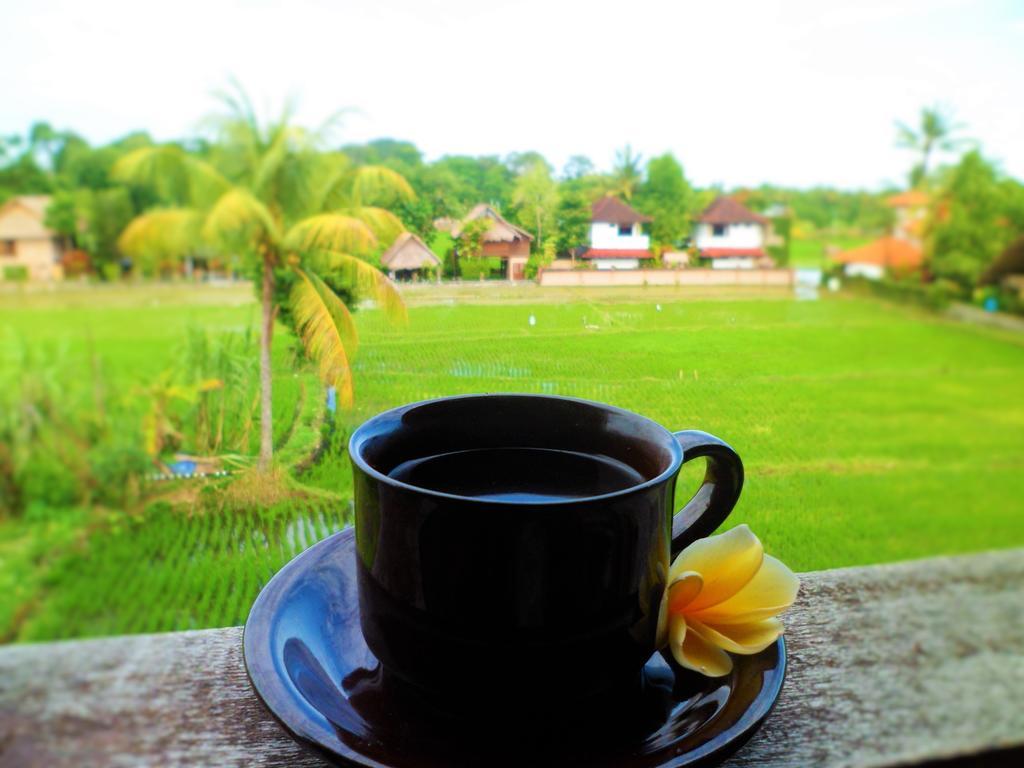 Nuriani Rooms Ubud Eksteriør bilde